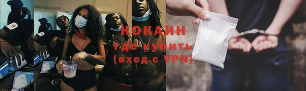 дмт Верея