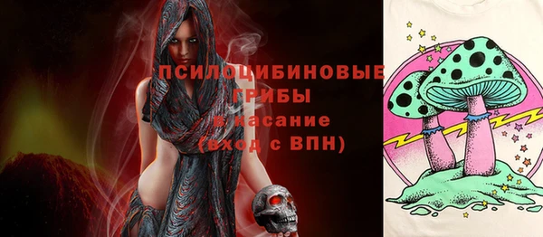 дмт Верея